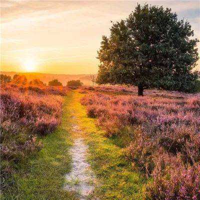 宝威体育手机app下载截图